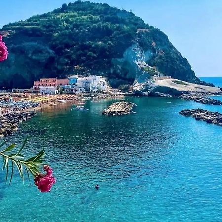 Mare Nostrum - Beachfront House - Sant'Angelo Ischia Zewnętrze zdjęcie