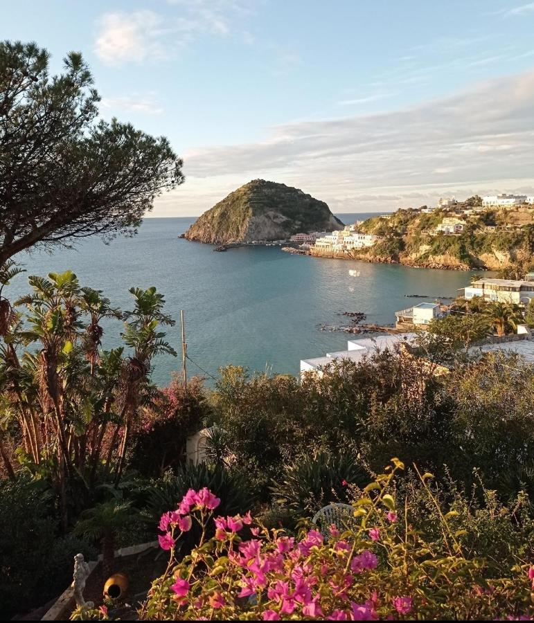 Mare Nostrum - Beachfront House - Sant'Angelo Ischia Zewnętrze zdjęcie