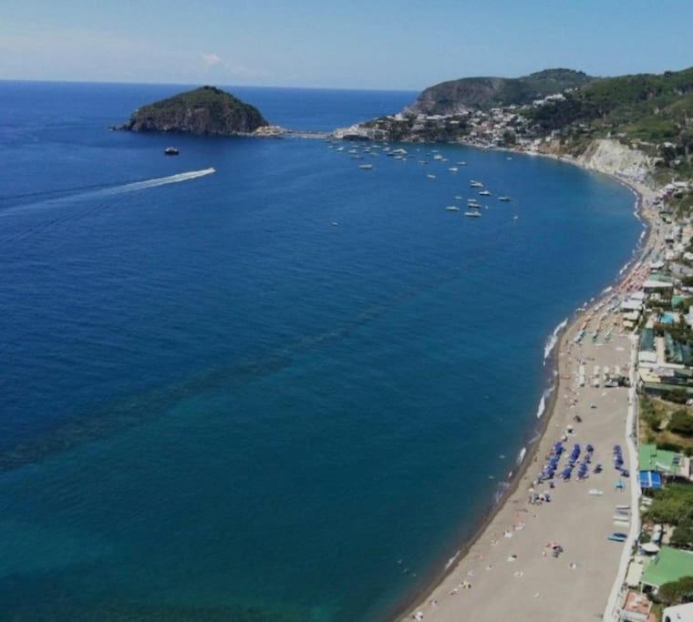 Mare Nostrum - Beachfront House - Sant'Angelo Ischia Zewnętrze zdjęcie