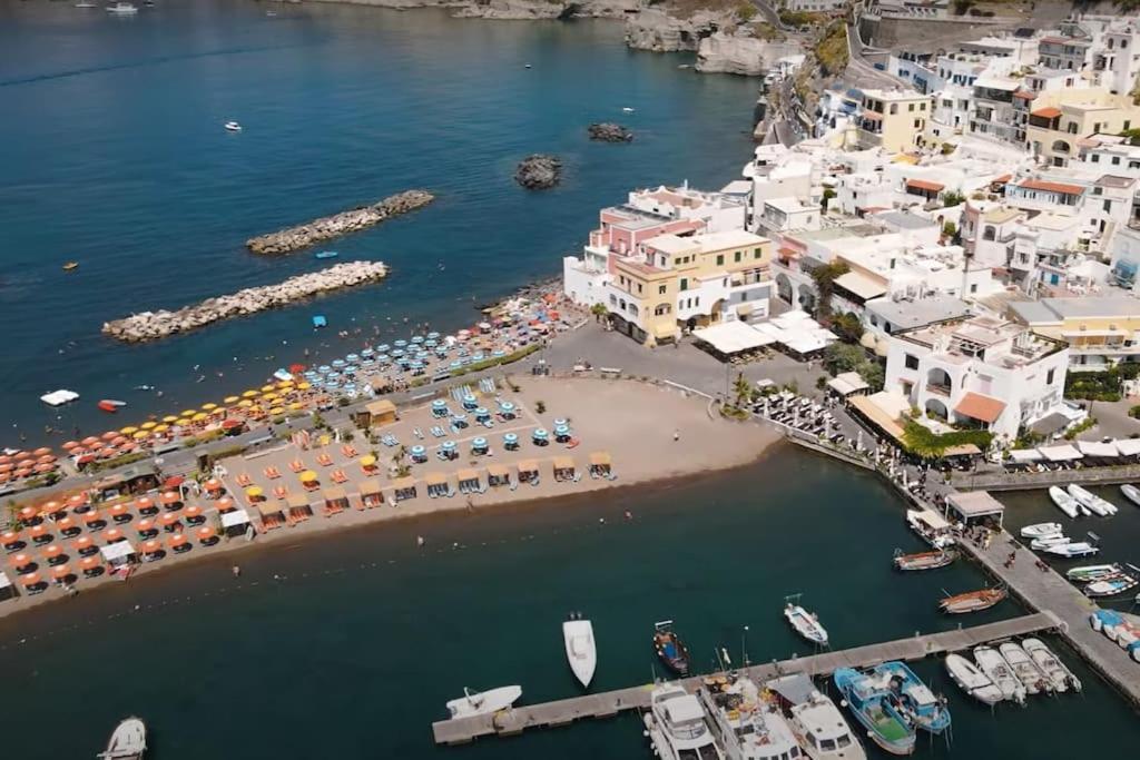 Mare Nostrum - Beachfront House - Sant'Angelo Ischia Zewnętrze zdjęcie