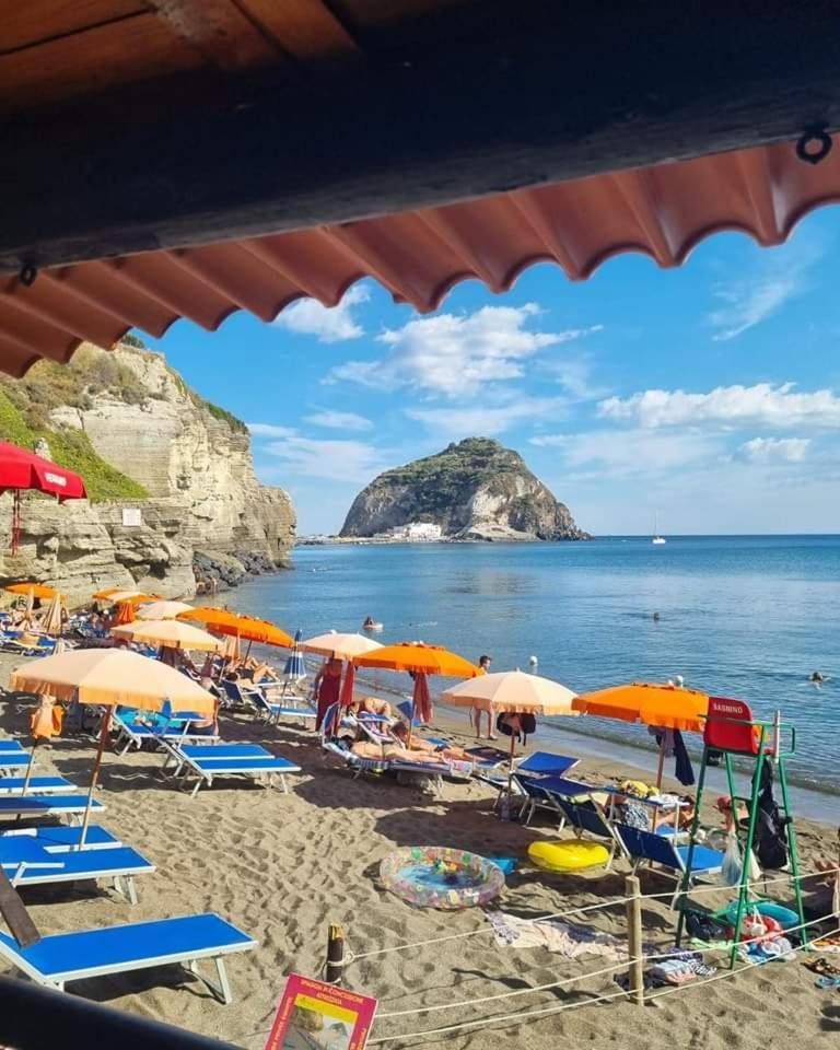 Mare Nostrum - Beachfront House - Sant'Angelo Ischia Zewnętrze zdjęcie